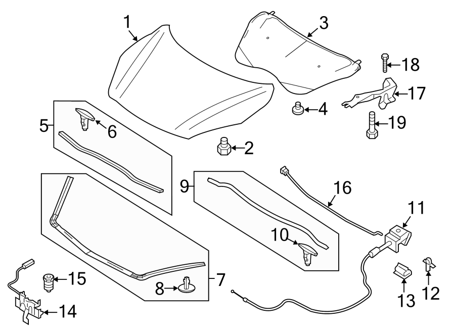 Diagram HOOD & COMPONENTS. for your Mazda