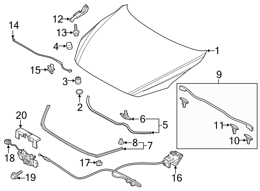 Diagram HOOD & COMPONENTS. for your 2021 Mazda CX-5 2.5L SKYACTIV A/T AWD Touring Sport Utility 