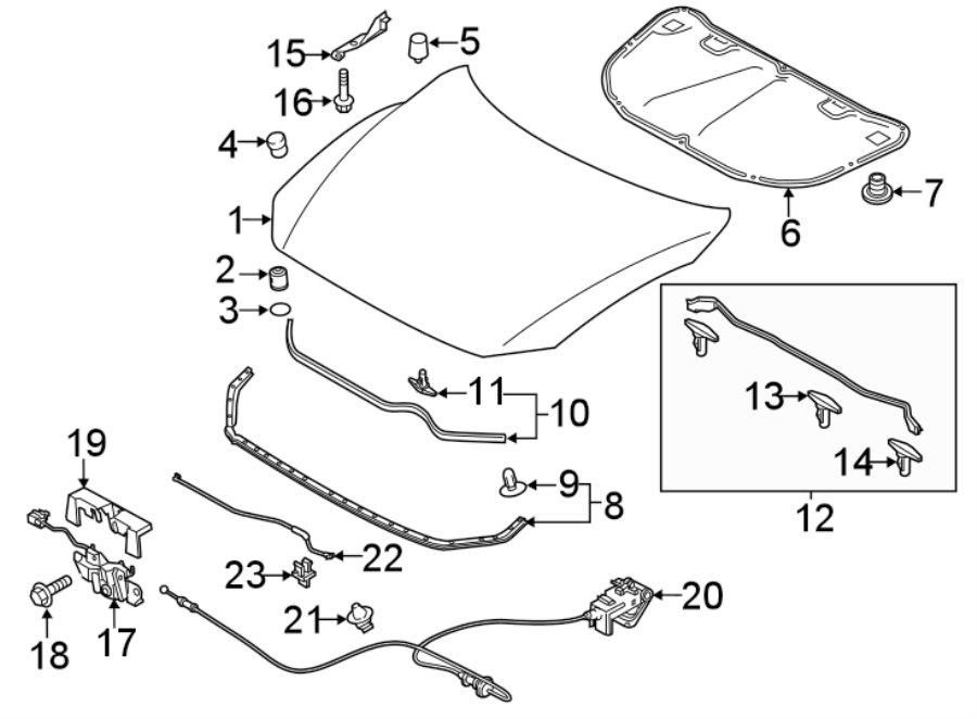 Diagram HOOD & COMPONENTS. for your Mazda