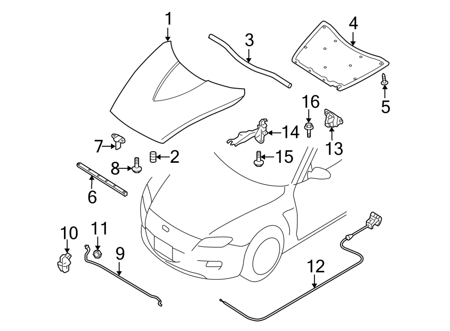 Diagram HOOD & COMPONENTS. for your 2023 Mazda MX-5 Miata   