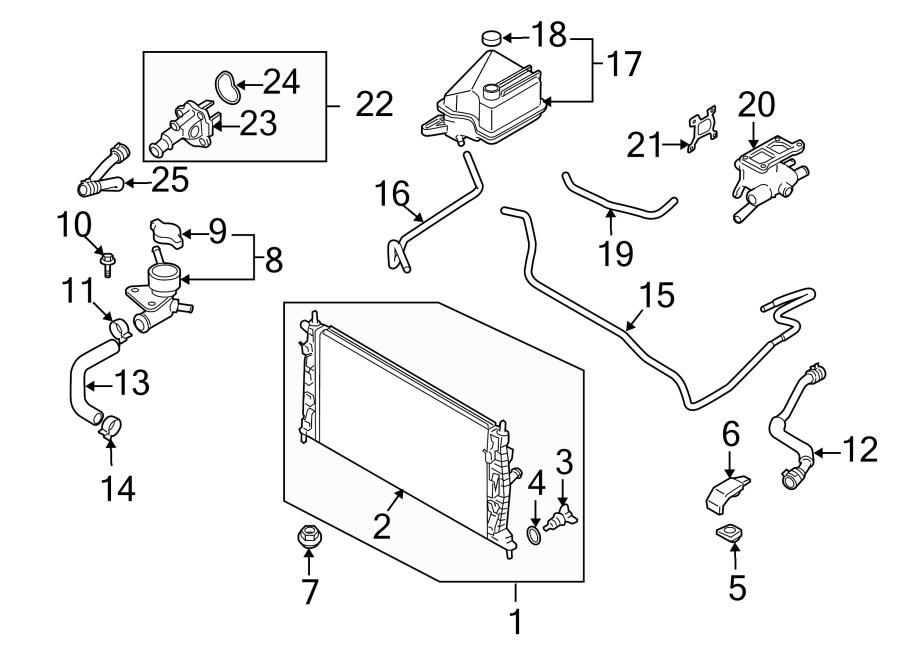 Diagram RADIATOR & COMPONENTS. for your Mazda