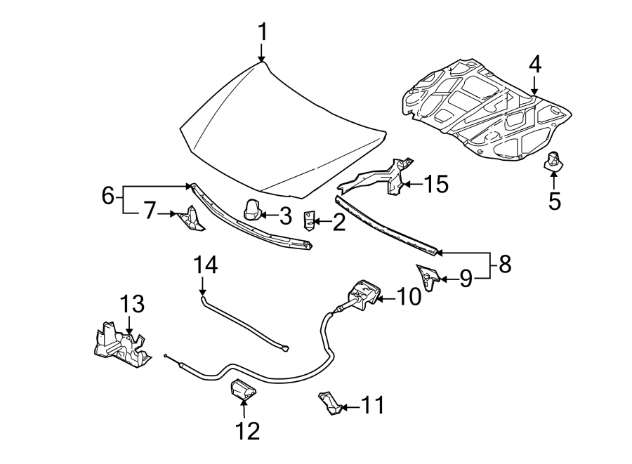 Diagram HOOD & COMPONENTS. for your Mazda