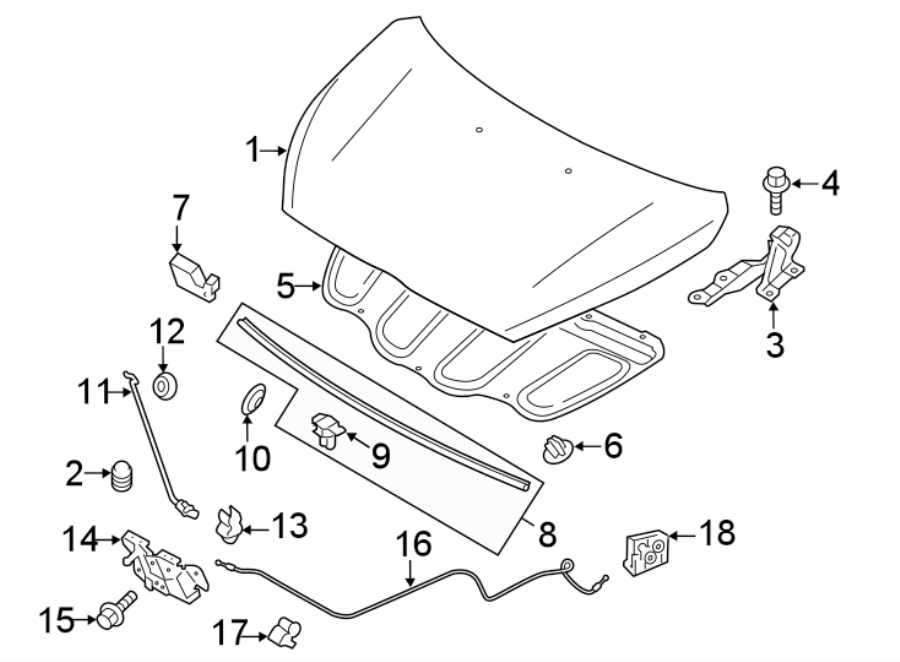 5HOOD & COMPONENTS.https://images.simplepart.com/images/parts/motor/fullsize/6216075.png