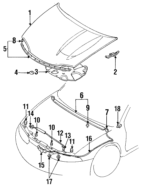 HOOD & COMPONENTS.