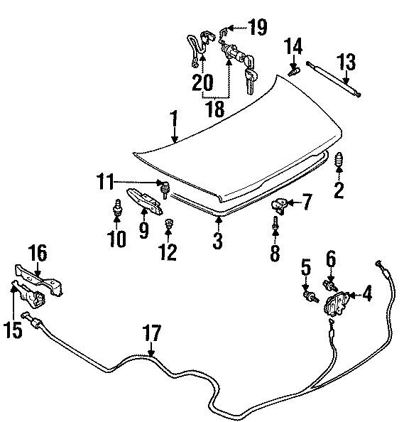 19TRUNK LID. LID & COMPONENTS.https://images.simplepart.com/images/parts/motor/fullsize/6226730.png