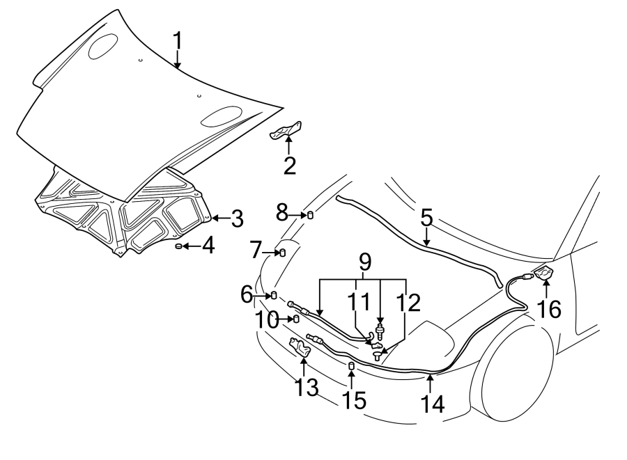 HOOD & COMPONENTS.