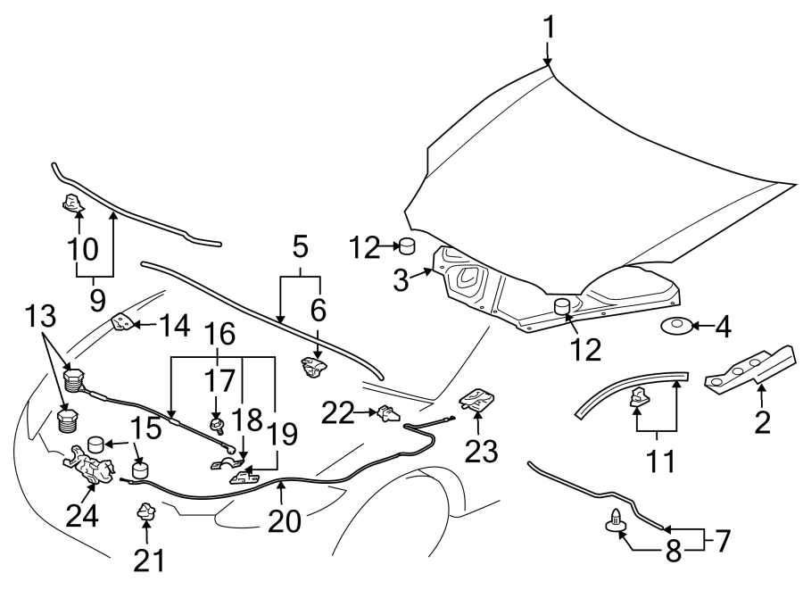 2Hood & components.https://images.simplepart.com/images/parts/motor/fullsize/6228095.png