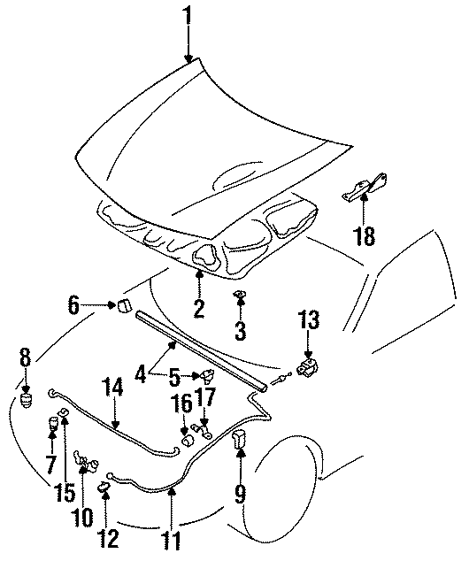 7HOOD & COMPONENTS.https://images.simplepart.com/images/parts/motor/fullsize/6240150.png