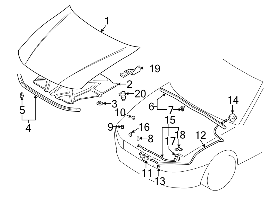 19HOOD & COMPONENTS.https://images.simplepart.com/images/parts/motor/fullsize/6241100.png