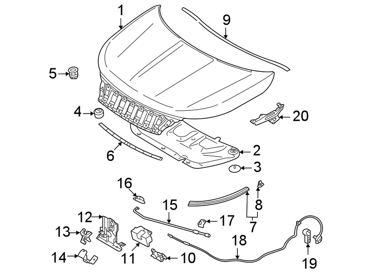 7Hood & grille. Hood & components.https://images.simplepart.com/images/parts/motor/fullsize/6254080.png