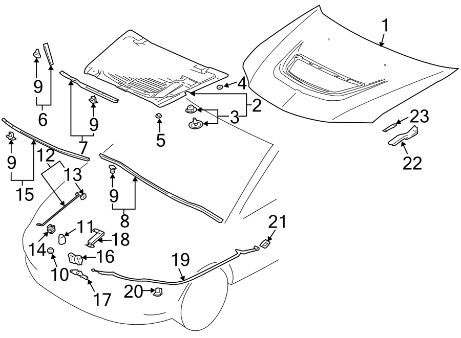 11HOOD & COMPONENTS.https://images.simplepart.com/images/parts/motor/fullsize/6265060.png