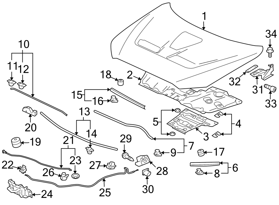 19Hood & components.https://images.simplepart.com/images/parts/motor/fullsize/6267085.png