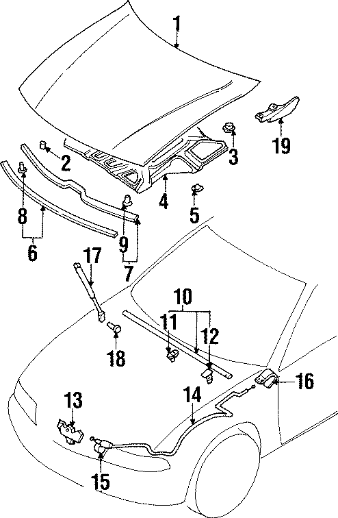 2HOOD & COMPONENTS.https://images.simplepart.com/images/parts/motor/fullsize/6295085.png