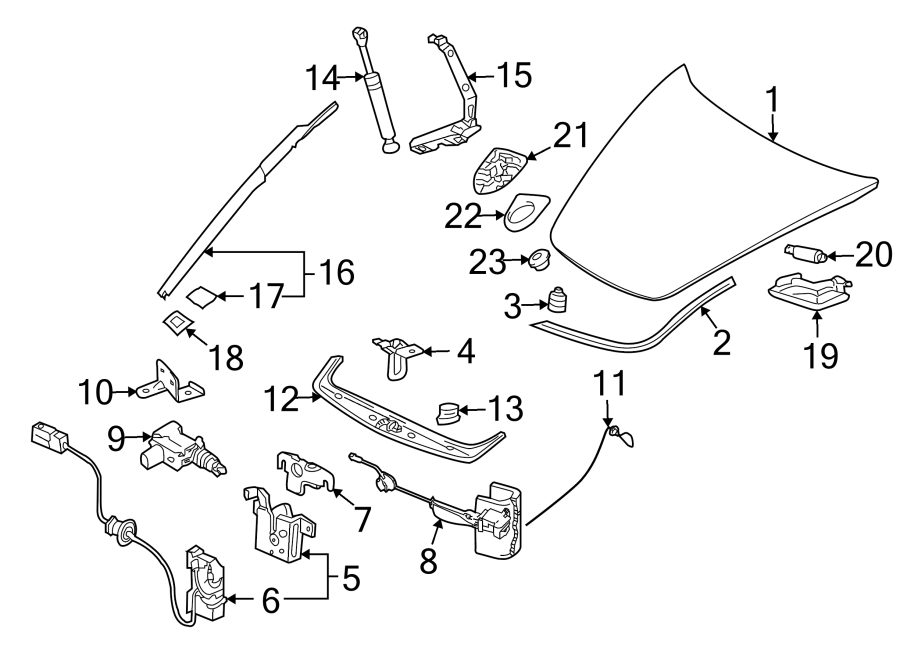 Diagram EXTERIOR TRIM. HOOD & COMPONENTS. for your 2022 Porsche Cayenne   