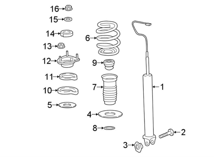 REAR SUSPENSION. STRUTS & COMPONENTS.