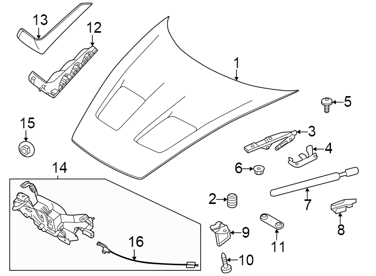 Diagram Hood & components. for your Porsche Cayenne  