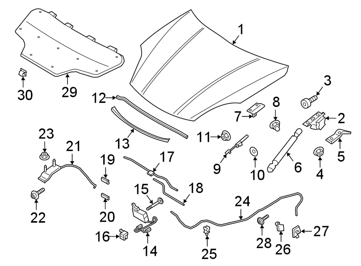 Diagram HOOD & COMPONENTS. for your Porsche