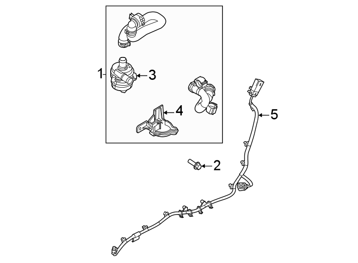 Diagram Water pump. for your Land Rover