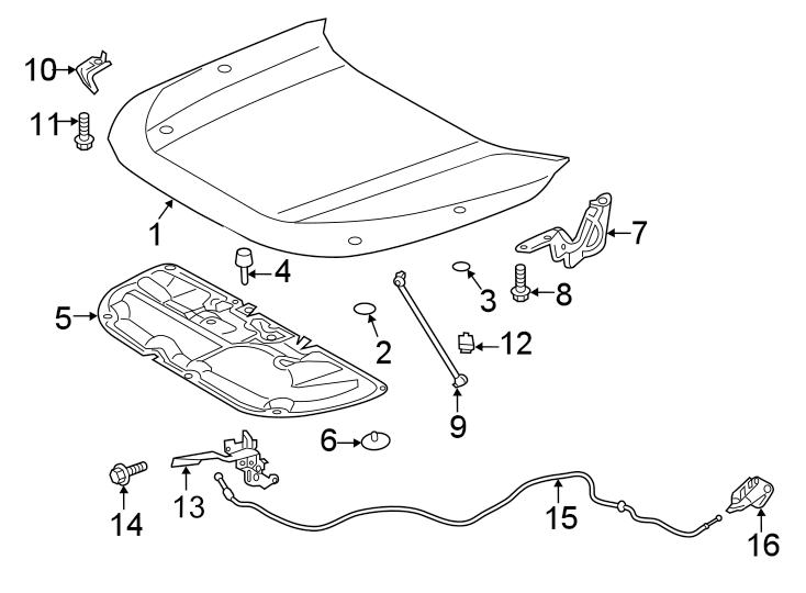 Diagram Hood & components. for your 2007 Toyota RAV4   