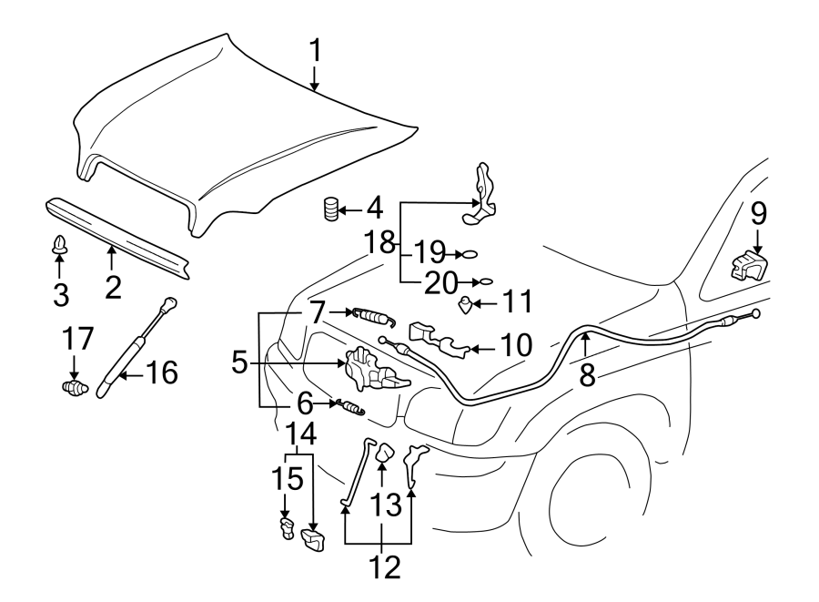 Diagram Hood & components. for your 2015 Toyota Highlander   