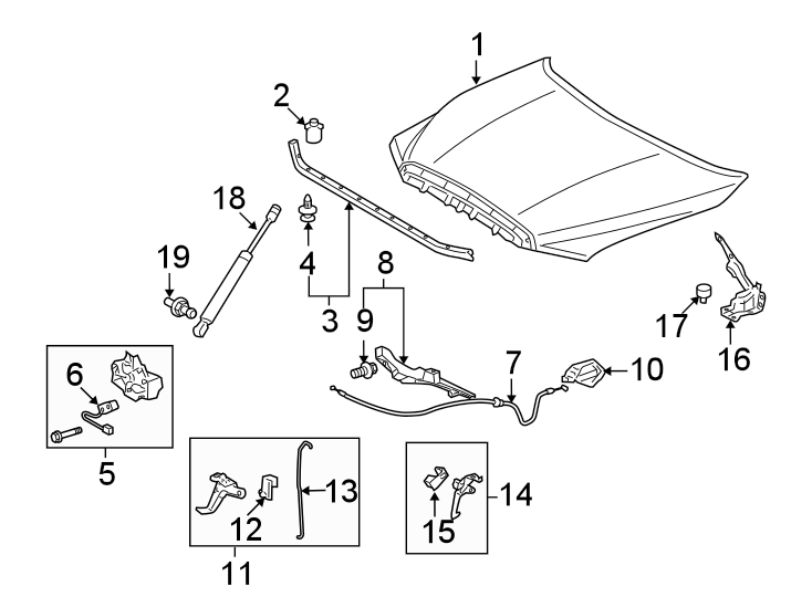 Diagram HOOD & COMPONENTS. for your Toyota