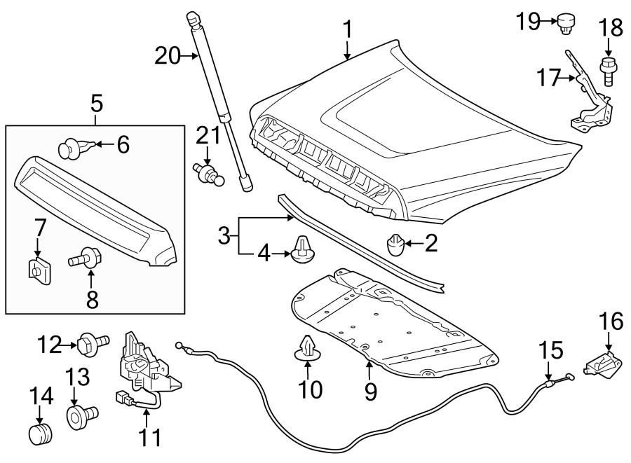 Diagram HOOD & COMPONENTS. for your 2014 Toyota Tundra   