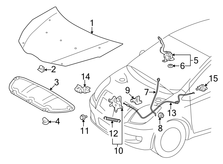 Diagram HOOD & COMPONENTS. for your 2007 Toyota RAV4   