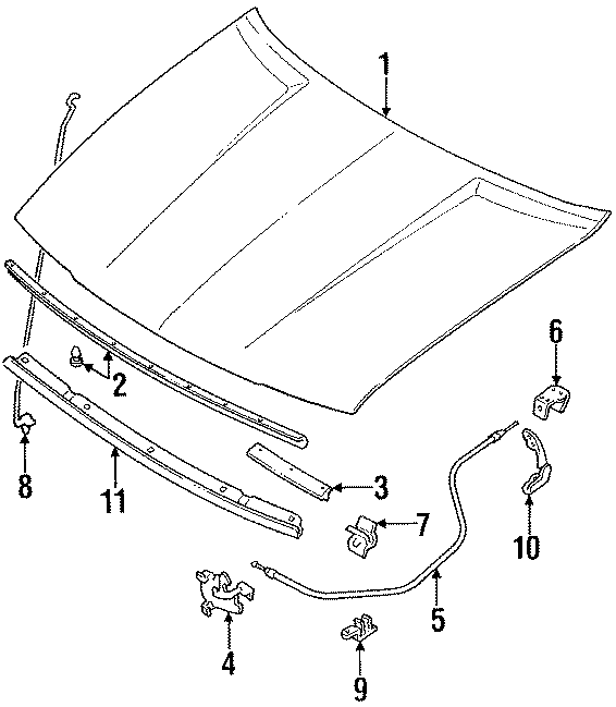 Diagram HOOD & COMPONENTS. for your Toyota