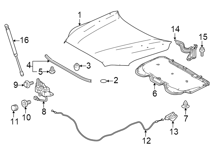 Diagram Hood & components. for your Toyota