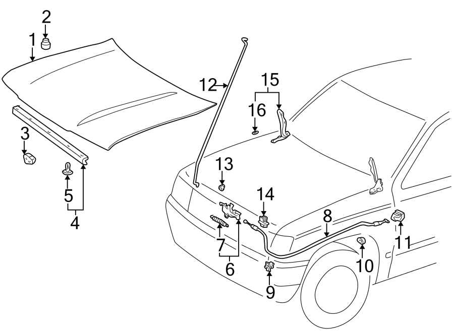 Diagram HOOD & COMPONENTS. for your Toyota