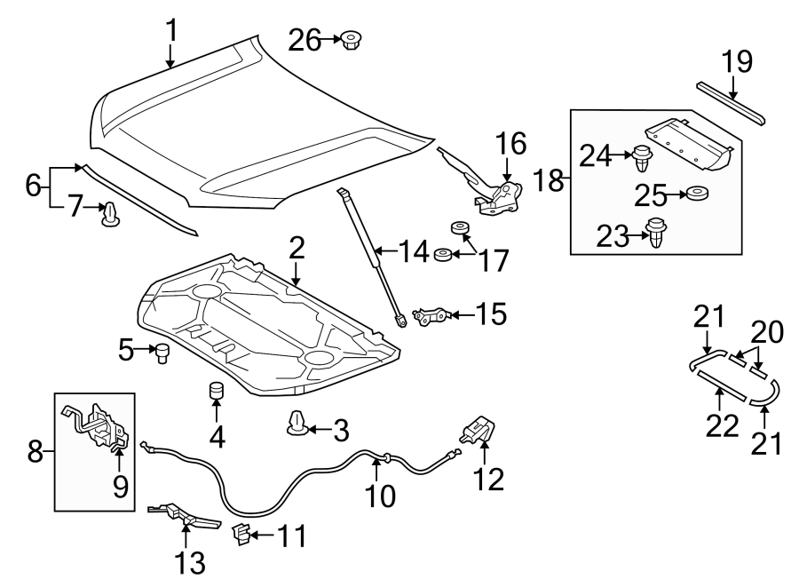 Diagram EXTERIOR TRIM. HOOD & COMPONENTS. for your Toyota