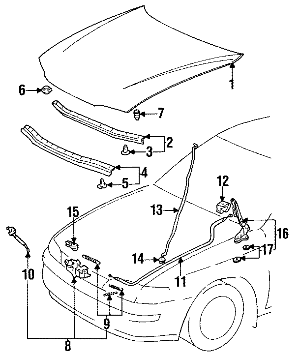 Diagram HOOD & COMPONENTS. for your 1990 Toyota Corolla   