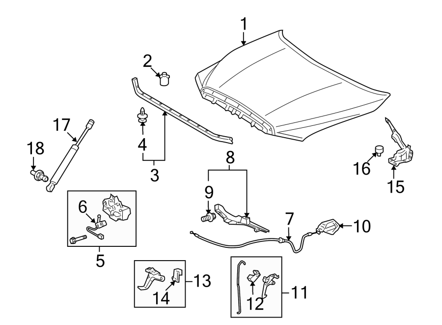 Diagram HOOD & COMPONENTS. for your 2021 Toyota Tundra   