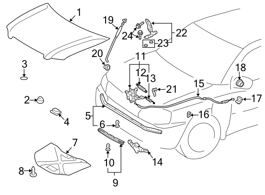 Diagram HOOD & COMPONENTS. for your 2013 Toyota Avalon  XLE Touring Sedan 