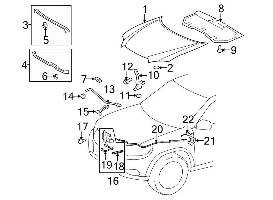 Diagram HOOD & COMPONENTS. for your 2019 Toyota Prius Prime  Plus Hatchback 