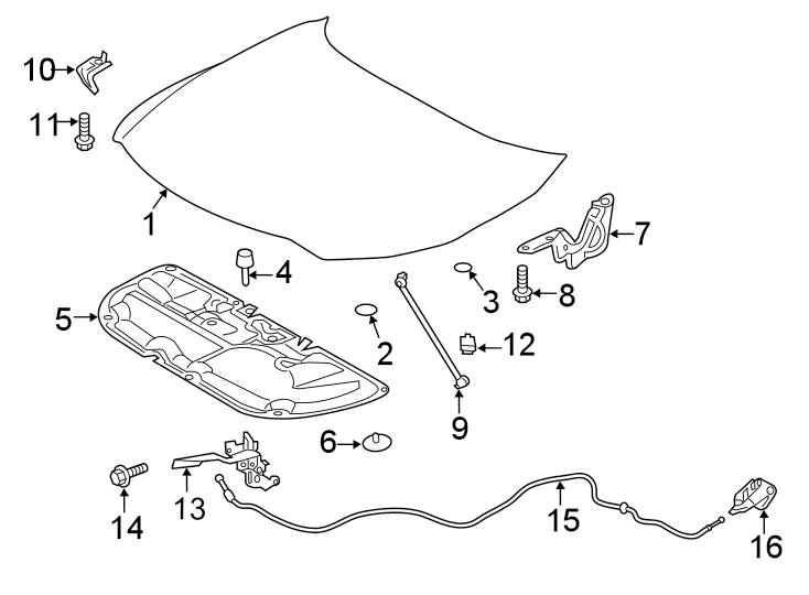 Diagram Hood & components. for your Toyota