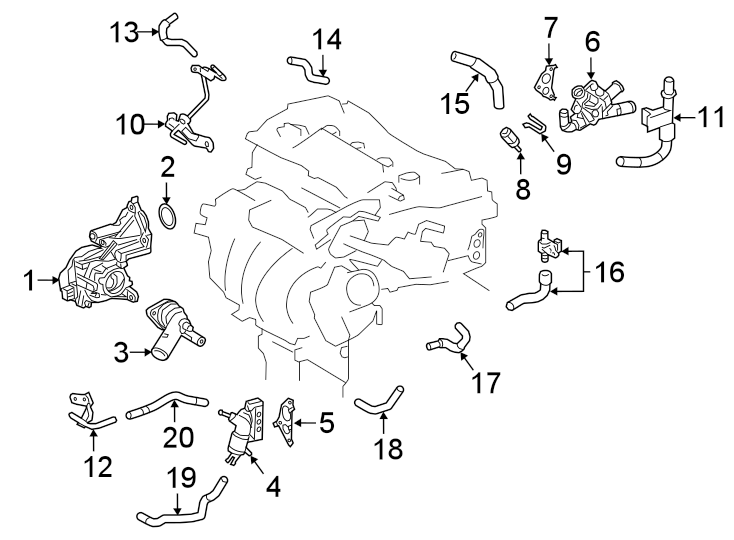 Diagram Hoses & pipes. for your 2020 Toyota Prius   