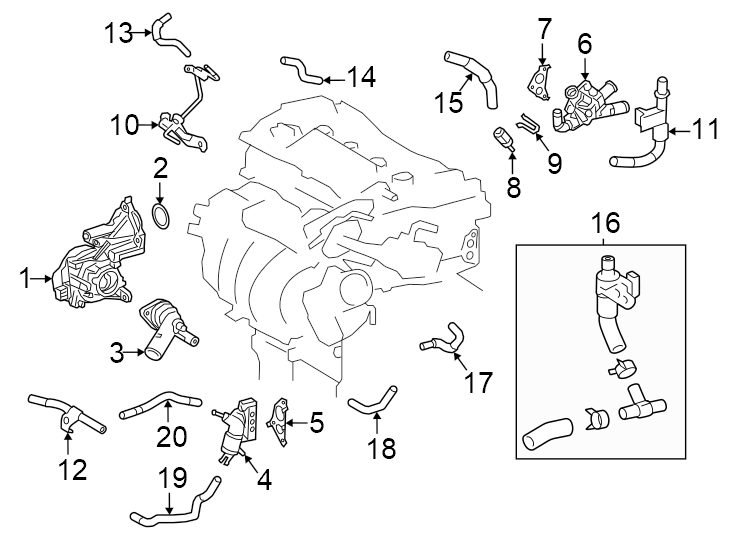 Diagram Hoses & pipes. for your 2020 Toyota Prius   