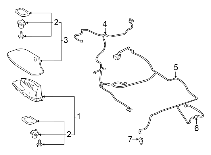 Diagram Antenna. for your 2008 Toyota Camry  Hybrid Sedan 