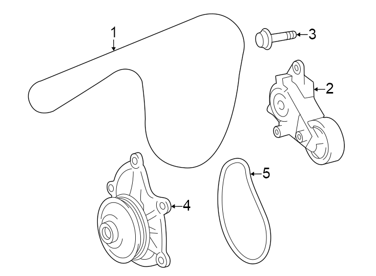 Diagram Belts & pulleys. for your 2023 Toyota Corolla   