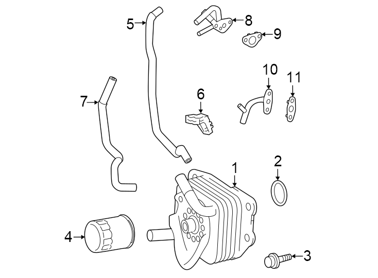 Diagram Engine oil cooler. for your 2009 Toyota Venza   