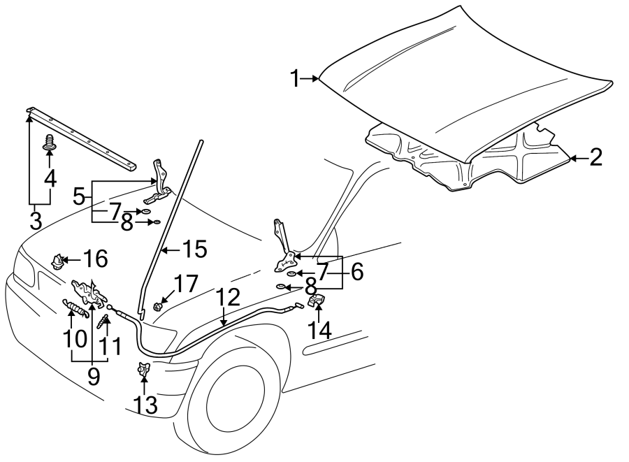 Diagram HOOD & COMPONENTS. for your 2019 Toyota Prius Prime  Plus Hatchback 