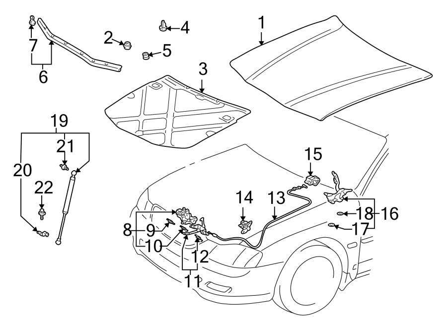 Diagram HOOD & COMPONENTS. for your 2006 Toyota RAV4   