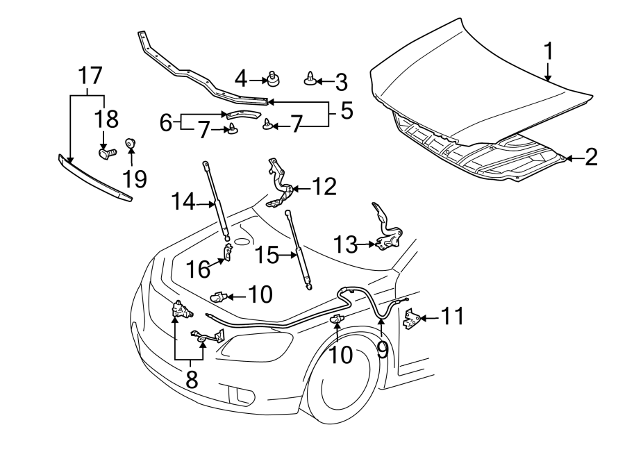 Diagram HOOD & COMPONENTS. for your 2006 Toyota RAV4   