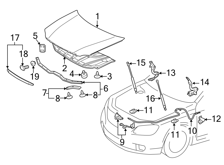 Diagram HOOD & COMPONENTS. for your 2006 Toyota RAV4   