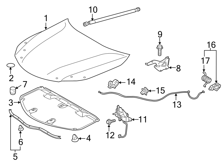 Diagram HOOD & COMPONENTS. for your 2013 Toyota Avalon  XLE SEDAN 