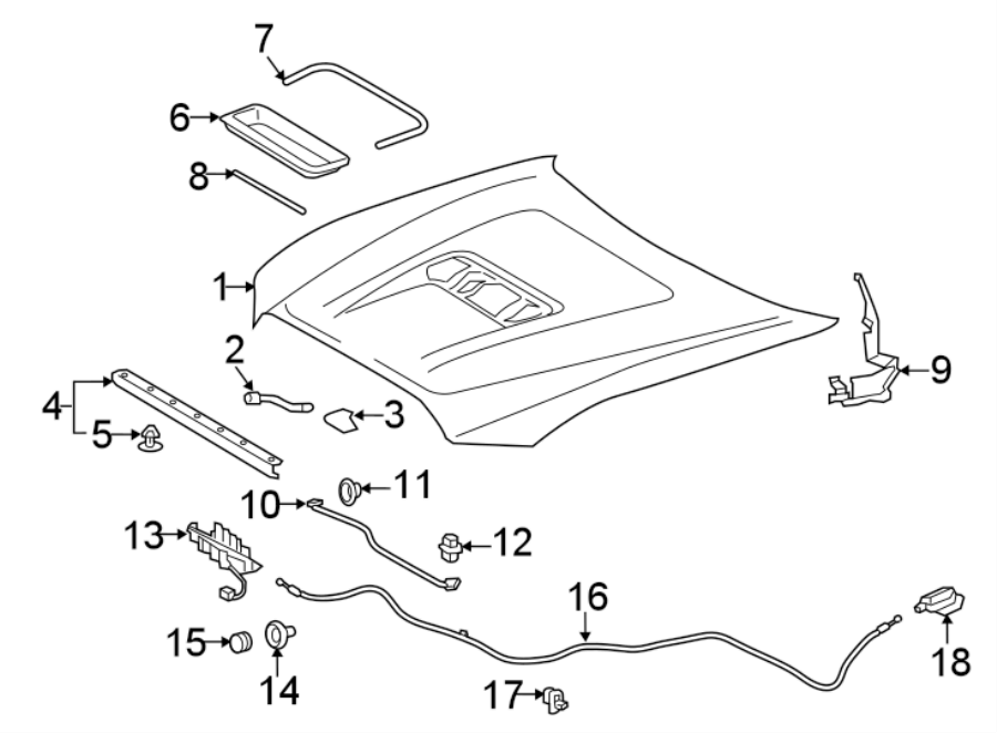 Diagram HOOD & COMPONENTS. for your Toyota