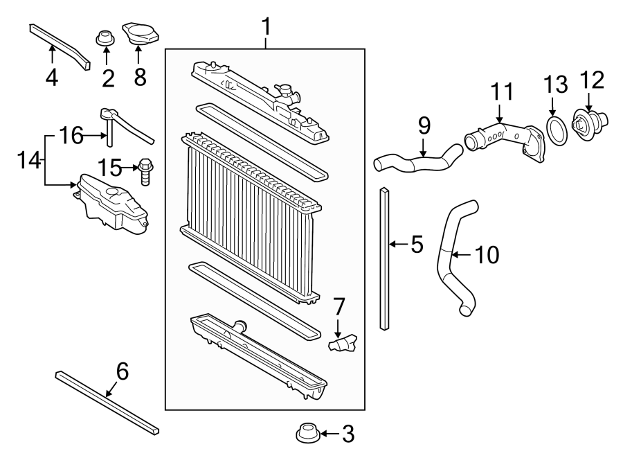 Diagram RADIATOR & COMPONENTS. for your Toyota