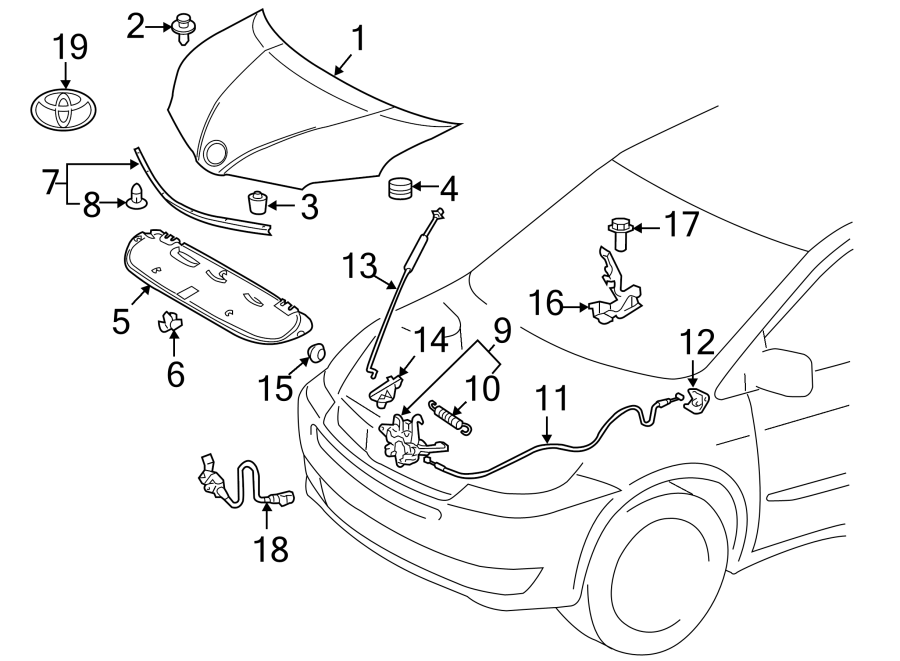 Diagram HOOD & COMPONENTS. for your Toyota Solara  