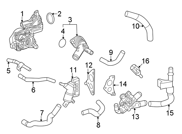 Diagram Water pump. for your 2020 Toyota Prius   